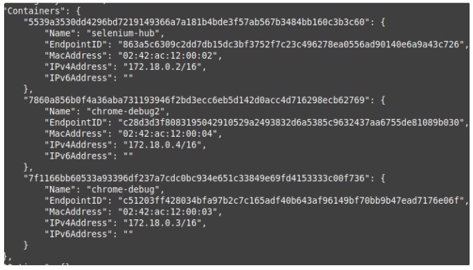 selenium hub